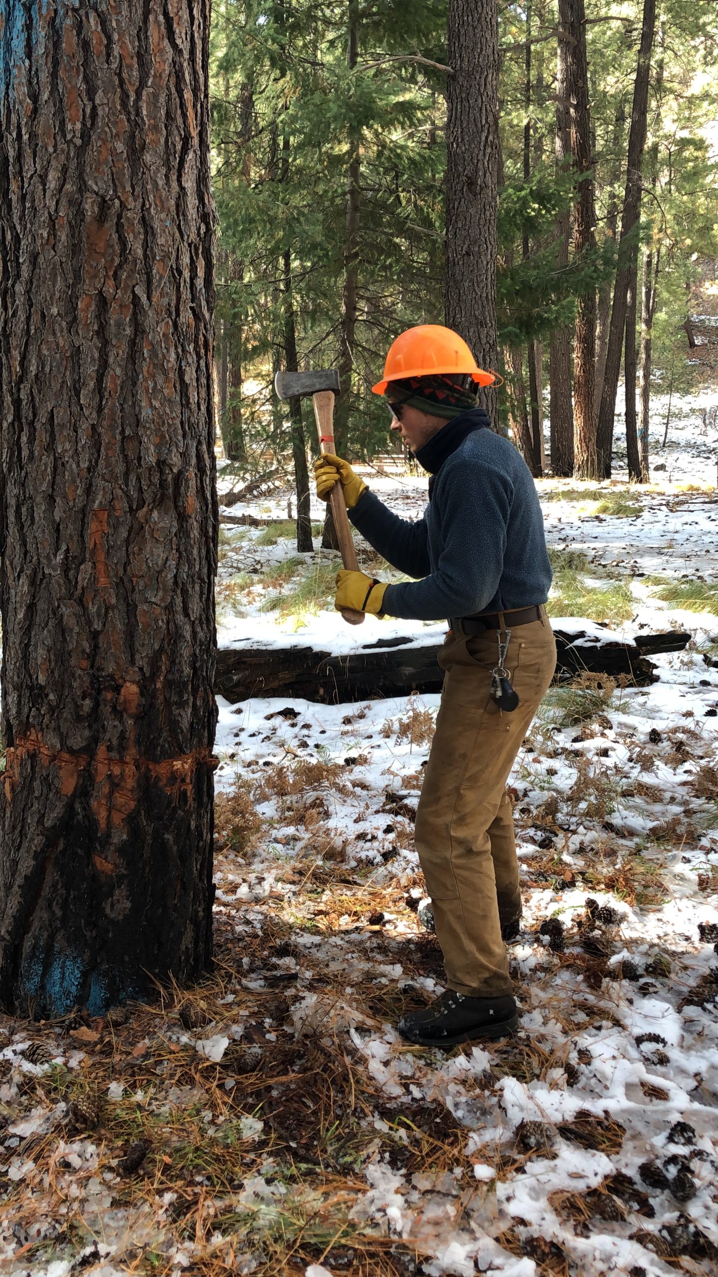 wild stew field crew update: Fossil Spring & Crosscut Saw Training ...