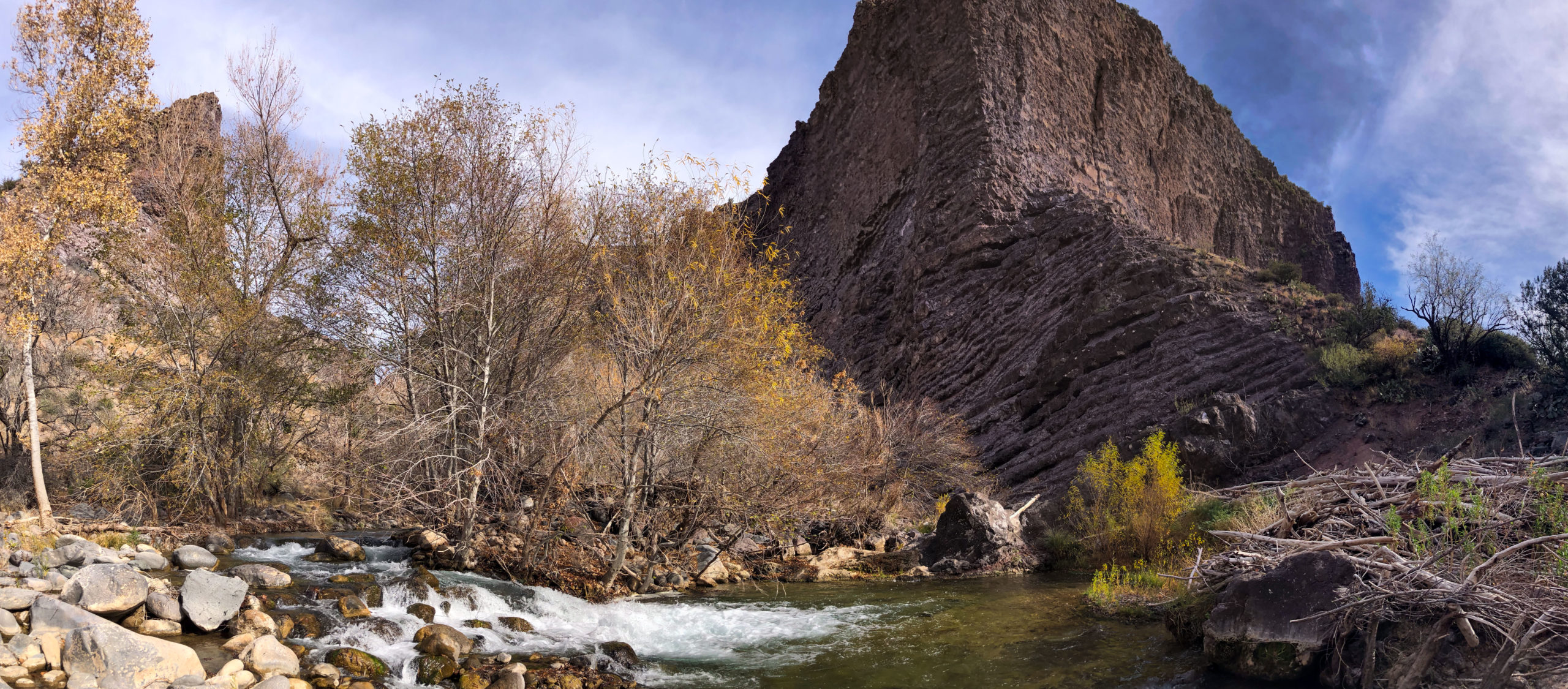 wild stew field crew: A Step Toward Giant Reed Extinction on Lower ...
