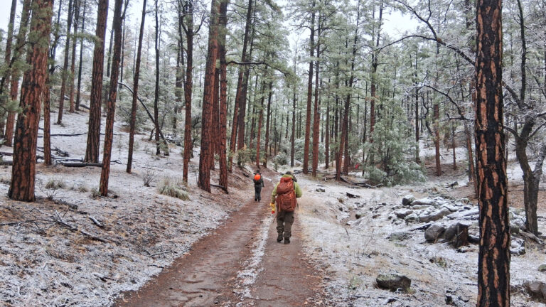 wild stew field crew: Stream Restoration in Dry Blue Creek