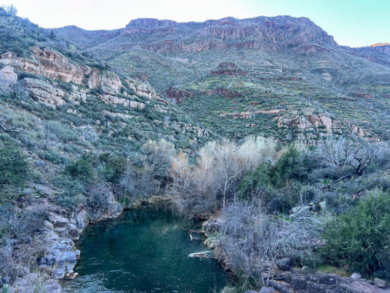 wild stew field crew: Return to Middle Fossil Creek