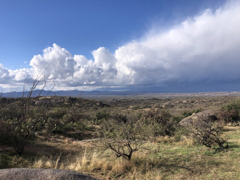 wild stew field crew: Rare Sights & Lights in the Santa Catalina Mountains on the ol’ Cow Pies Trail