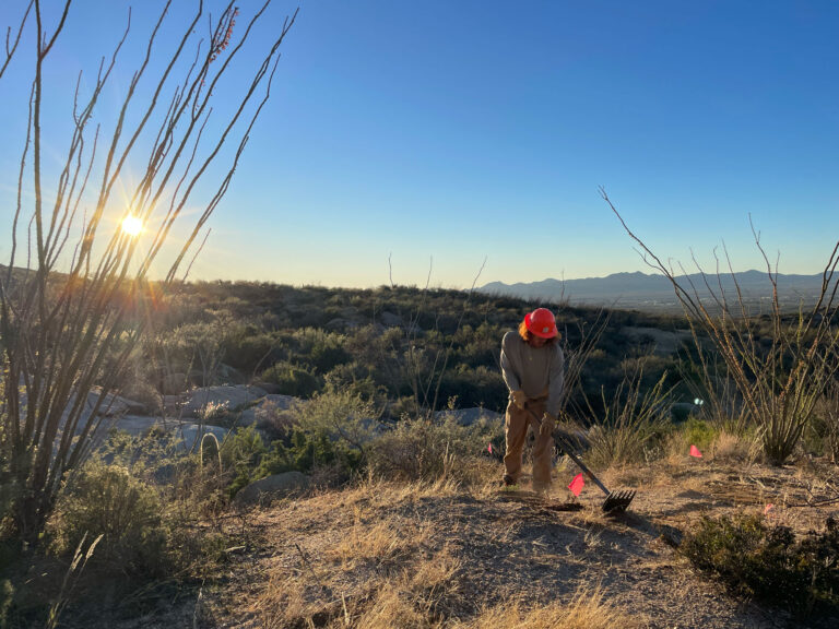 wild stew field crew: From Cow Pies to Stone Cactus