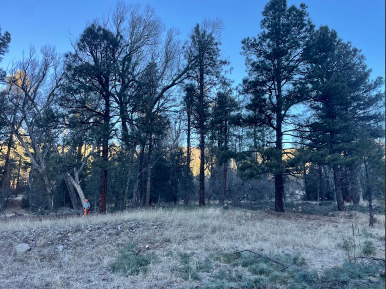 wild stew field crew: The five Cs of the Dry Blue — chainsaws, campfires, and chips!