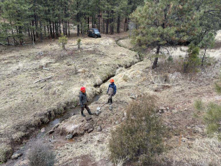 wild stew field crew: Ice in my Vanes 2: Into the Cold Dry Blue AKA The Clustering AKA The Sickest Hitch