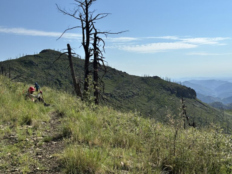wild stew field crew: A McKnight’s Tale – Back into the Burn