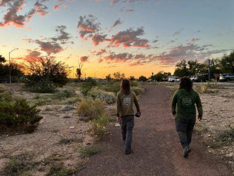 wild stew field crew: Tucson GSI — Heat, Rock, Erosion and the Sunland Trickster
